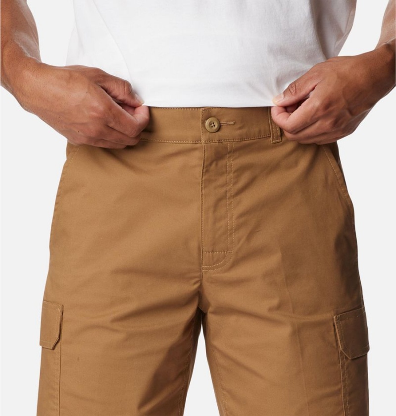 Brown Columbia Rapid Rivers Men's Shorts | 80437GIEF