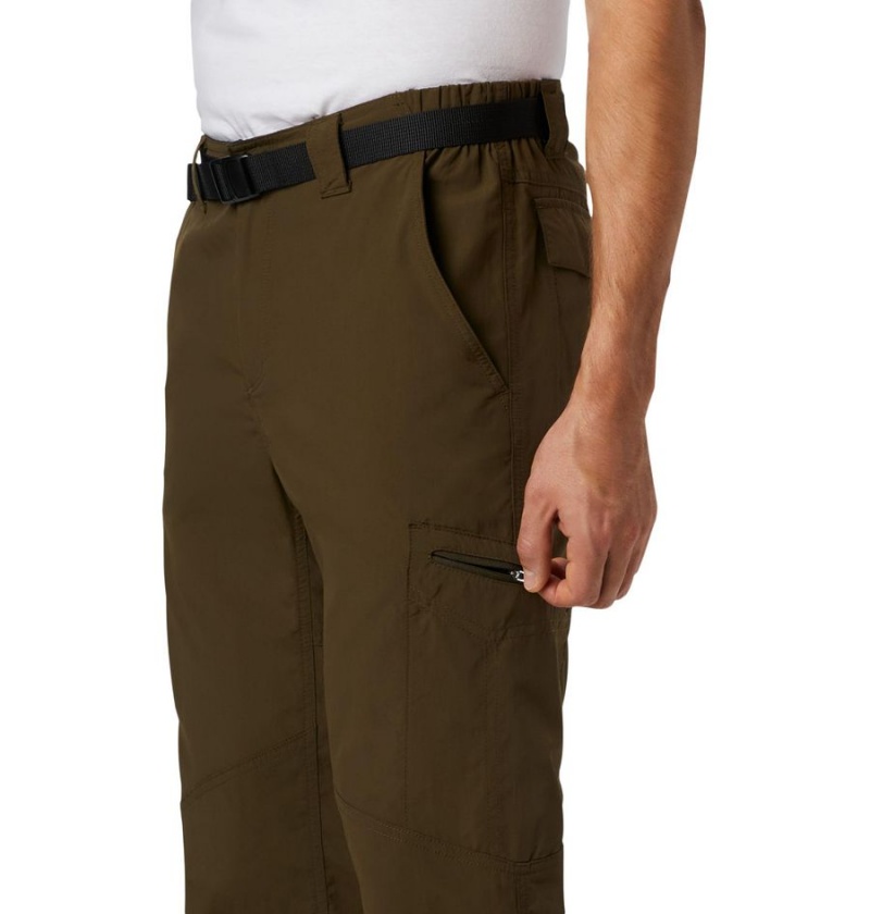 Brown Columbia Silver Ridge Cargo Men's Pants | 95274DAVO