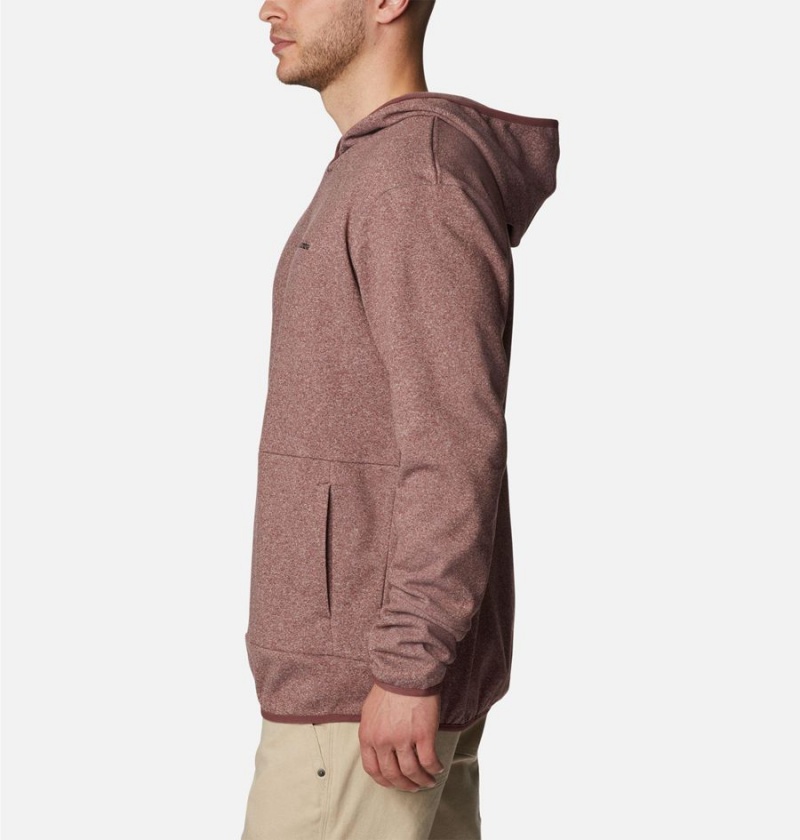 Brown Columbia Stone Canyon Men's Hoodie | 40592USAX