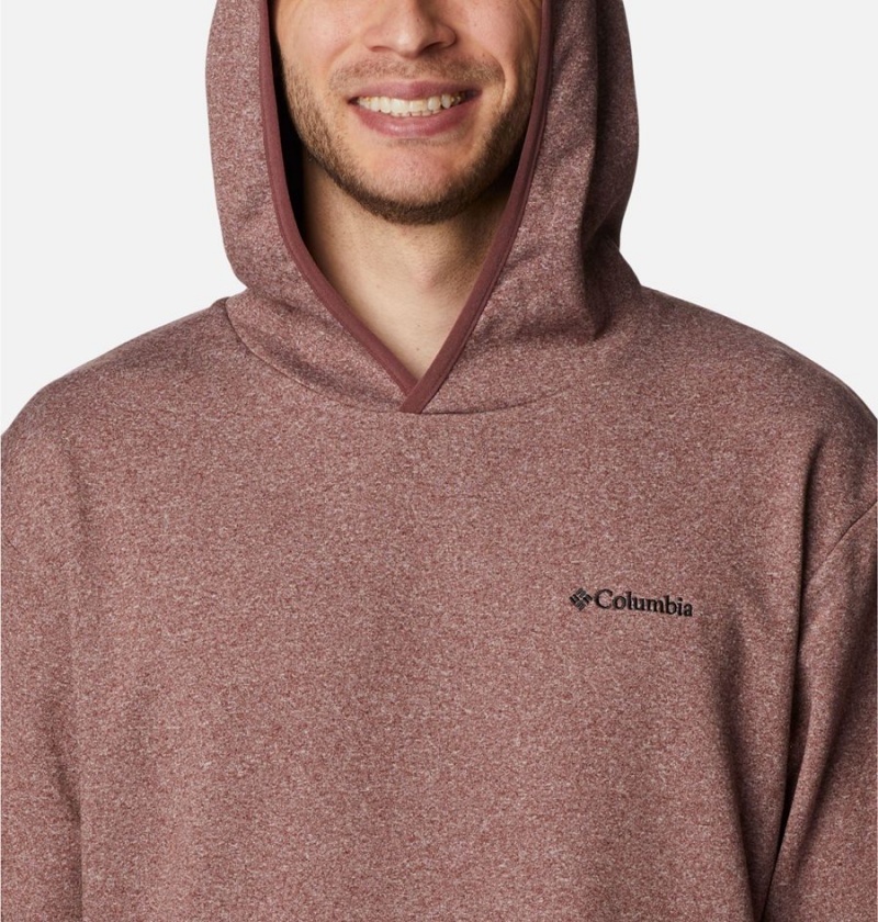 Brown Columbia Stone Canyon Men's Hoodie | 40592USAX