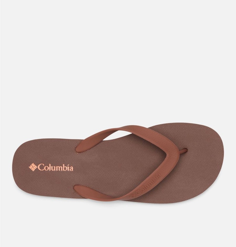 Brown Columbia Sun Trek Flip Flop Men's Sandals | 56174DBQG