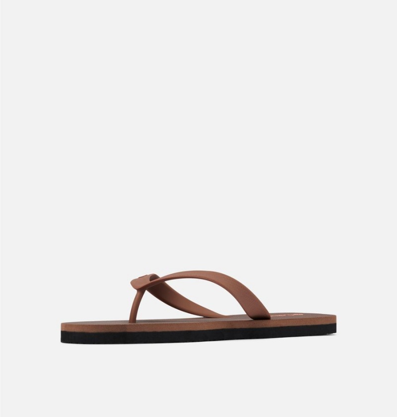 Brown Columbia Sun Trek Flip Flop Men's Sandals | 56174DBQG