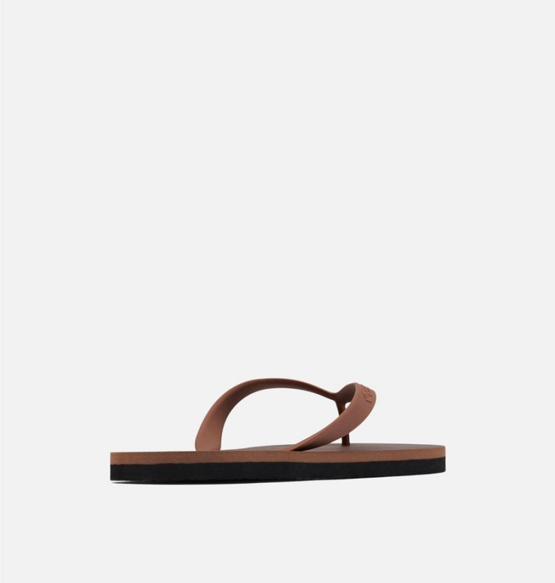 Brown Columbia Sun Trek Flip Flop Men's Sandals | 56174DBQG