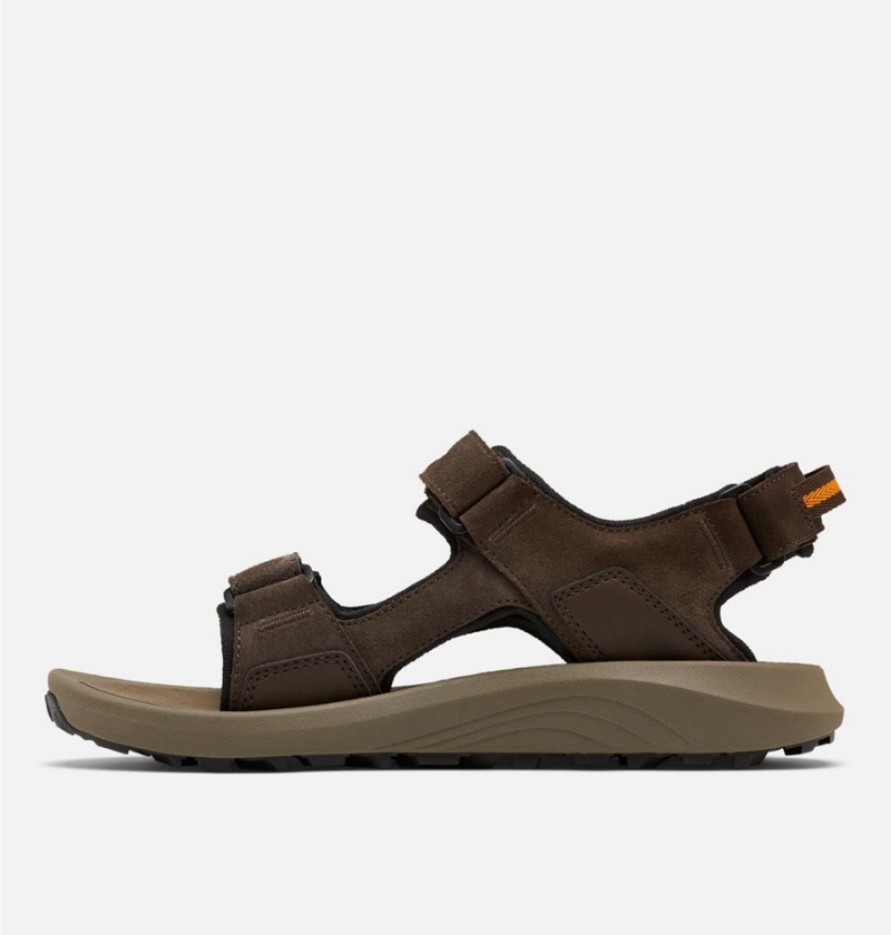 Brown Columbia Trailstorm Hiker 3-Strap Men's Sandals | 30486UONG