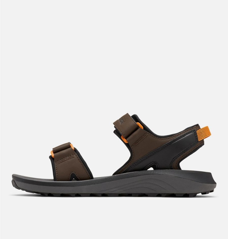 Brown Columbia Trailstorm Men's Sandals | 01678CJZF