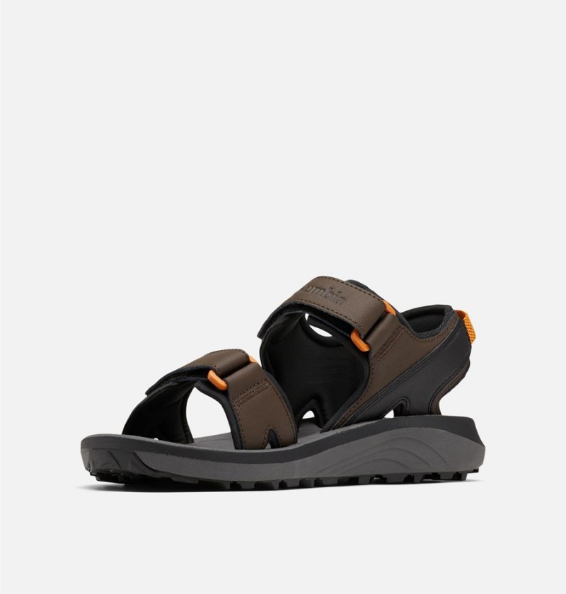 Brown Columbia Trailstorm Men's Sandals | 01678CJZF