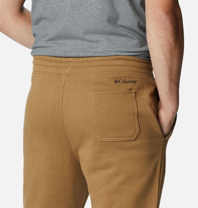 Brown Columbia Trek Joggers Men's Pants | 13792VUPE