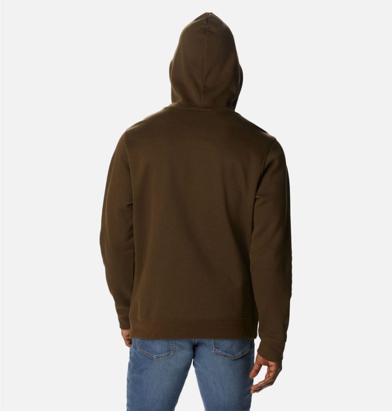 Brown Columbia Trek Men's Hoodie | 40598ANWZ