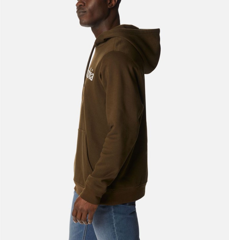 Brown Columbia Trek Men's Hoodie | 40598ANWZ