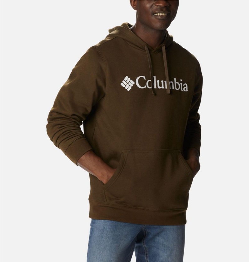 Brown Columbia Trek Men's Hoodie | 40598ANWZ