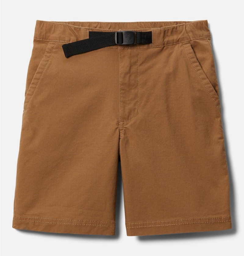 Brown Columbia Wallowa Belted Kids\' Shorts | 15723WASR