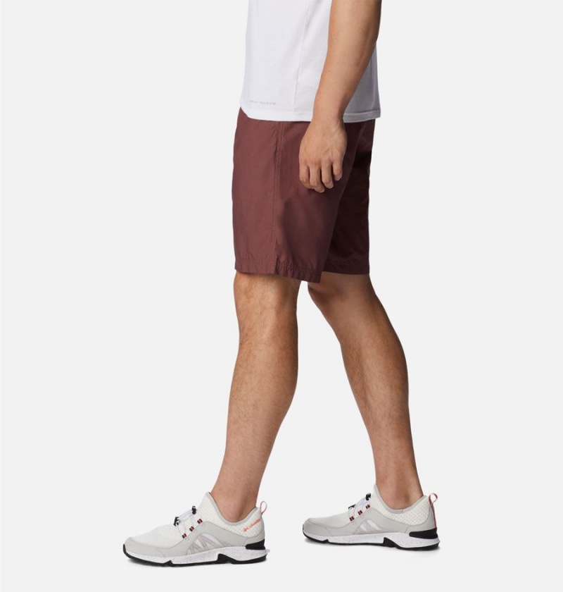 Brown Columbia Washed Out Men's Shorts | 04176FQGH