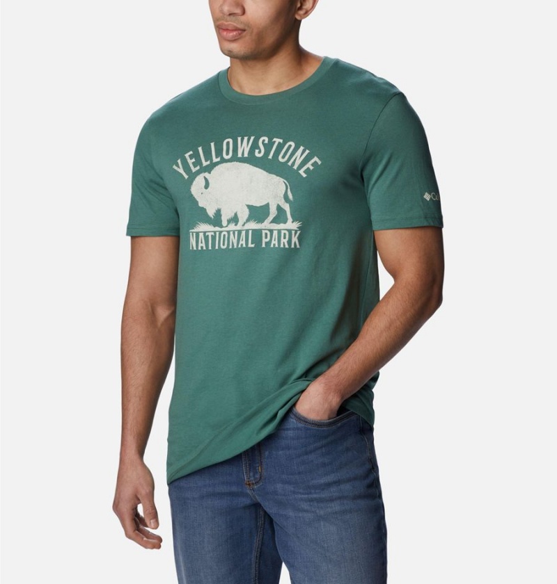 Green Columbia NP Yellowstone Graphic Men's T-Shirt | 08724AZUY