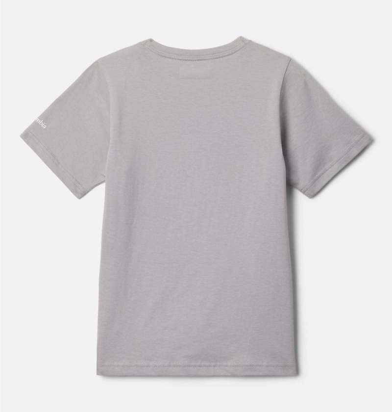 Grey Columbia Basin Ridge Short Sleeve Graphic Kids' T-Shirt | 24531OXEP