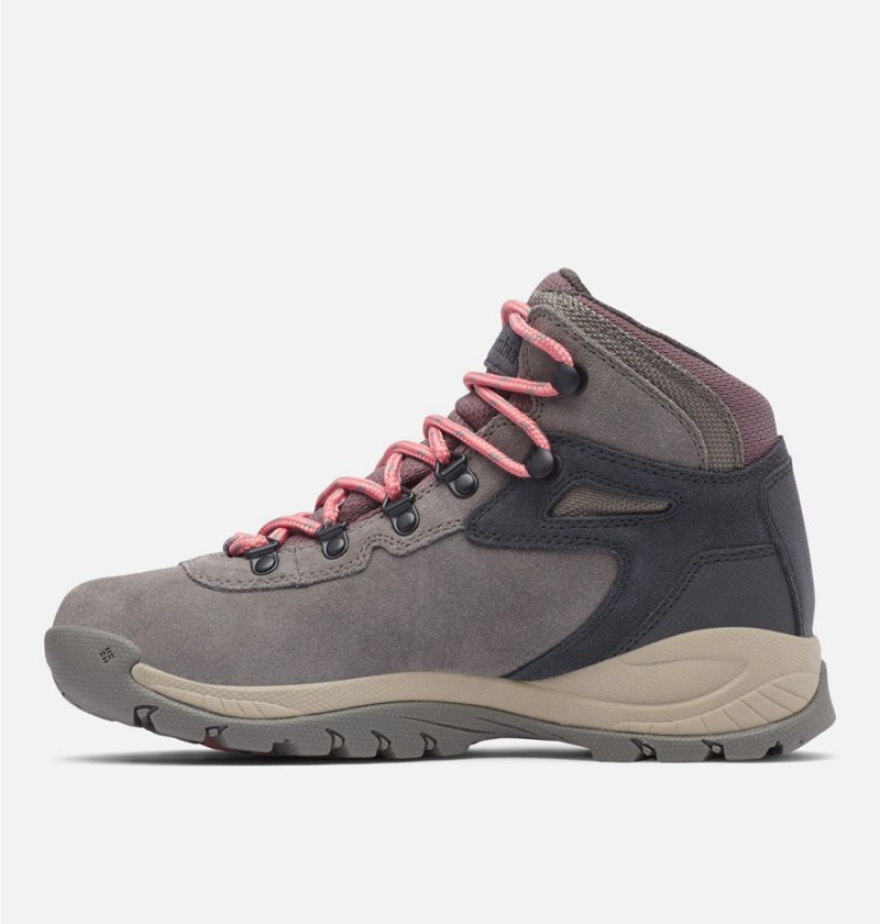 Grey Columbia Newton Ridge Plus Waterproof Amped Boot Women's Hiking Shoes | 10346EXKV