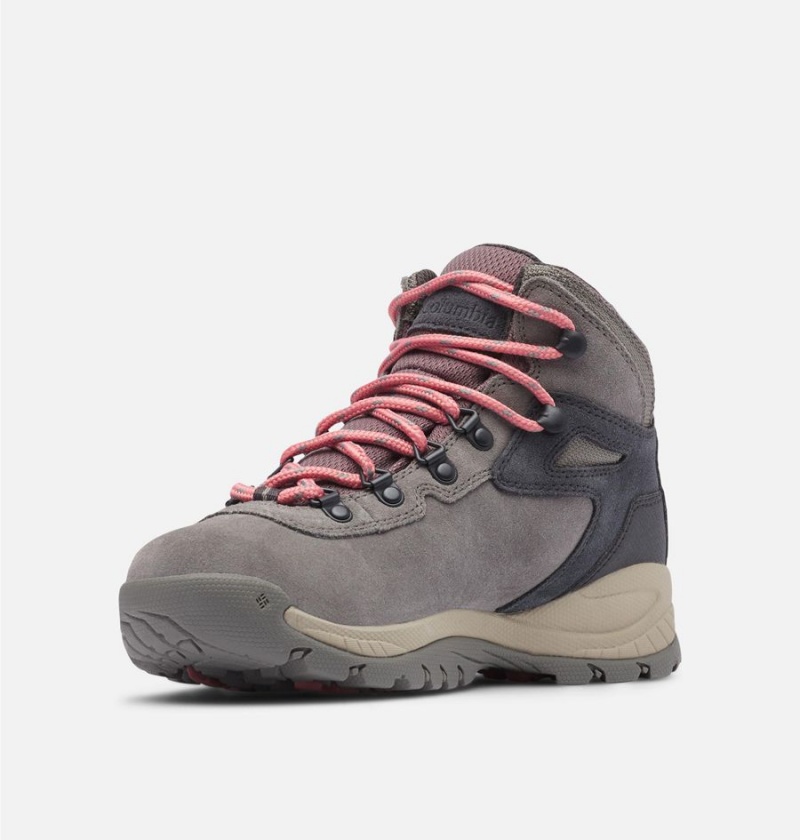 Grey Columbia Newton Ridge Plus Waterproof Amped Boot Women's Hiking Shoes | 10346EXKV