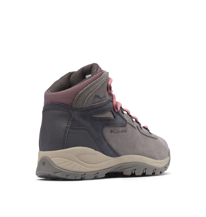 Grey Columbia Newton Ridge Plus Waterproof Amped Boot Women's Hiking Shoes | 10346EXKV