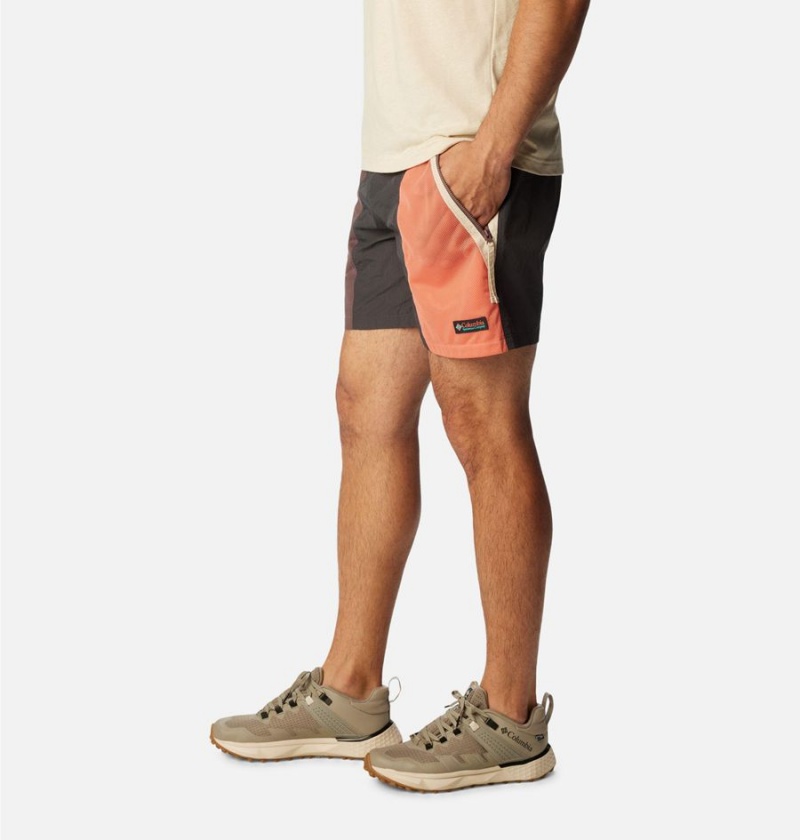 Grey Columbia Riptide Retro Men's Shorts | 95103RIJX