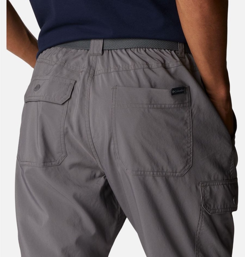 Grey Columbia Silver Ridge Utility Men's Pants | 59362MQCT