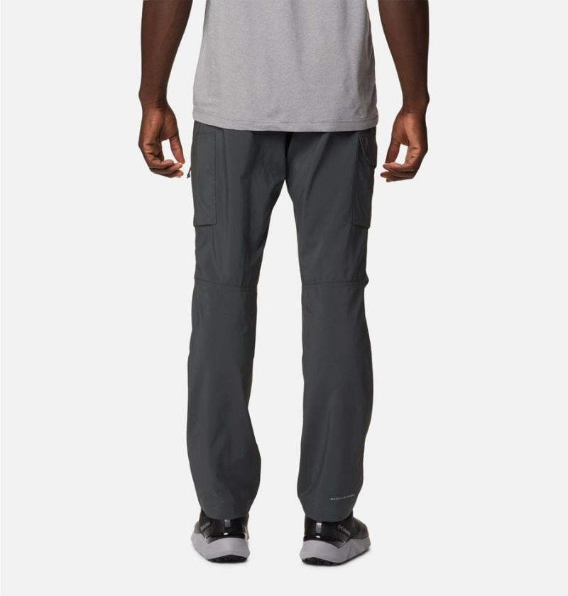 Grey Columbia Silver Ridge Utility Men's Pants | 36980KIZR