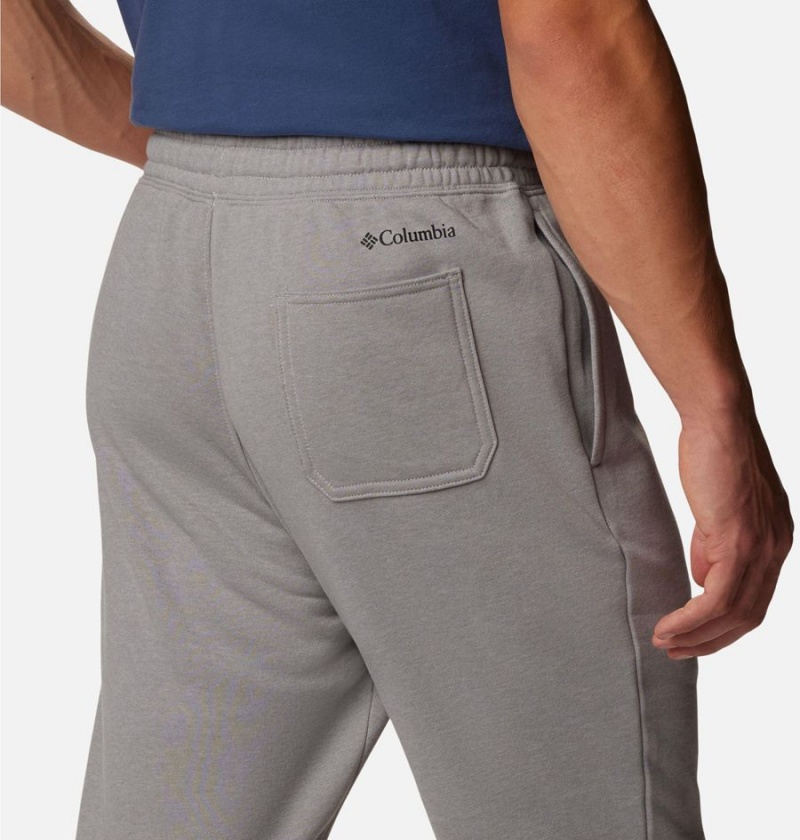 Grey Columbia Trek Joggers Men's Pants | 76123HERW