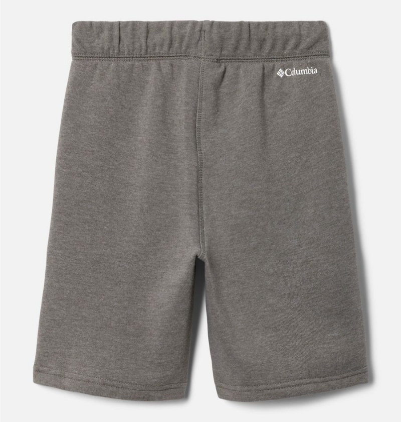 Grey Columbia Trek Kids' Shorts | 91235UBGC