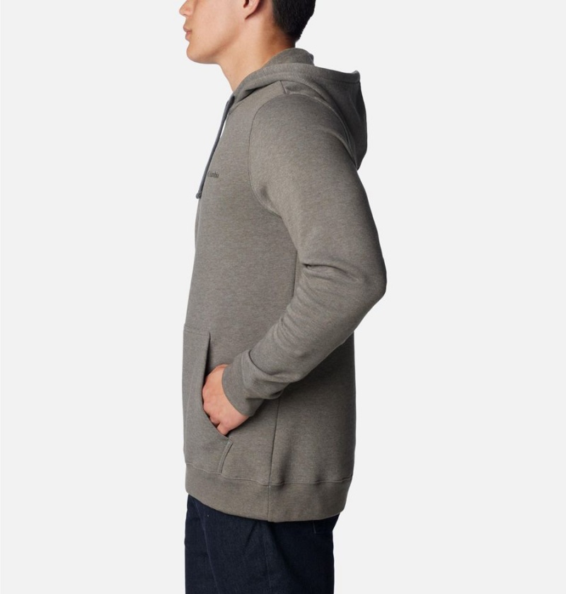 Grey Columbia Trek Men's Hoodie | 92741CNMQ