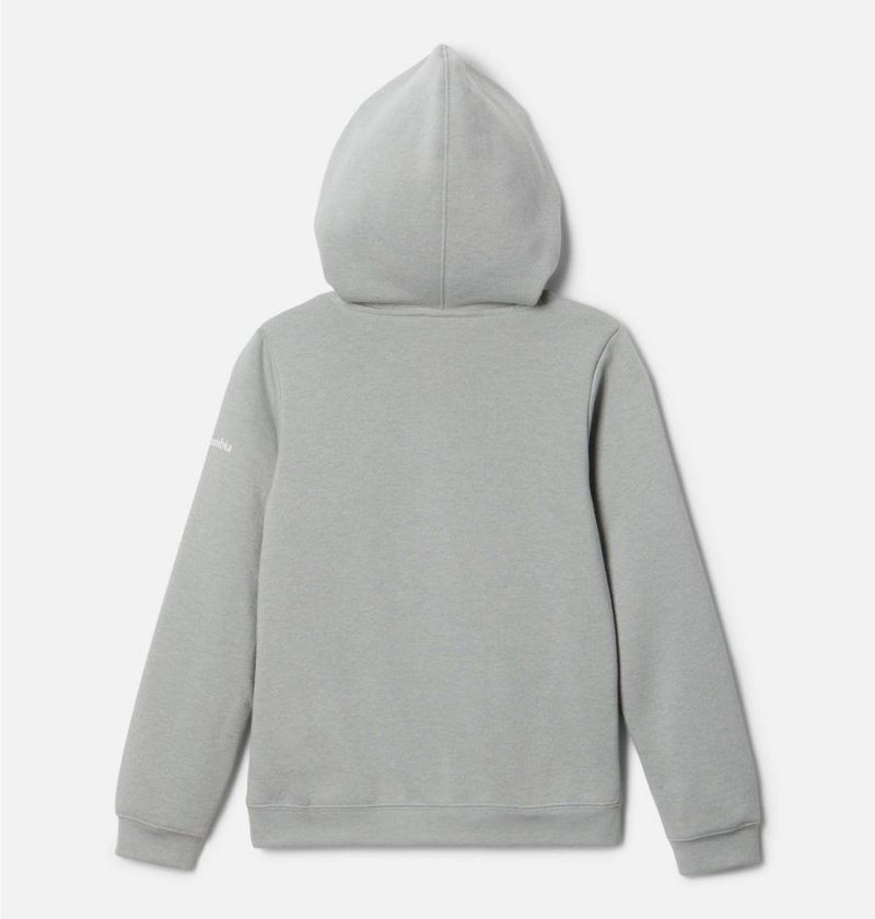 Grey Columbia Trek Pullover Kids' Hoodie | 76401BVZT