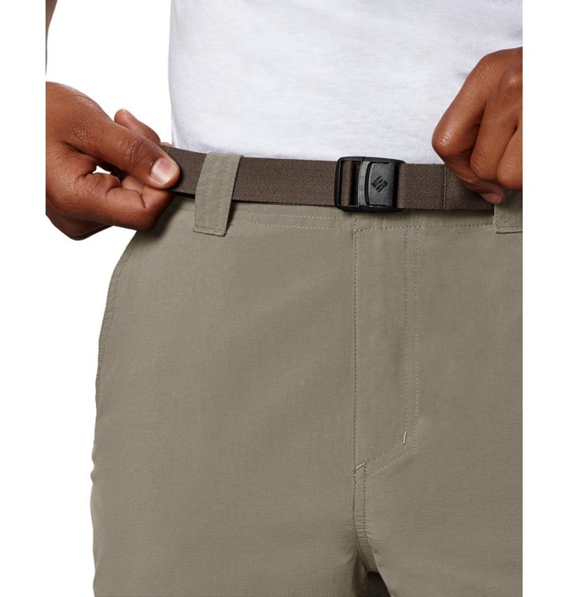 Khaki Columbia Silver Ridge Cargo Men's Pants | 69035FVWB