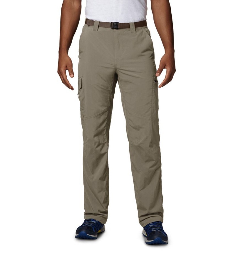 Khaki Columbia Silver Ridge Cargo Men\'s Pants | 69035FVWB