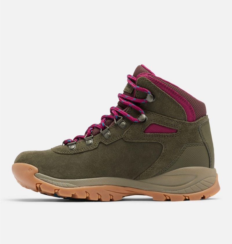 Olive Columbia Newton Ridge Plus Waterproof Amped Boot Women's Hiking Shoes | 51730JDXT