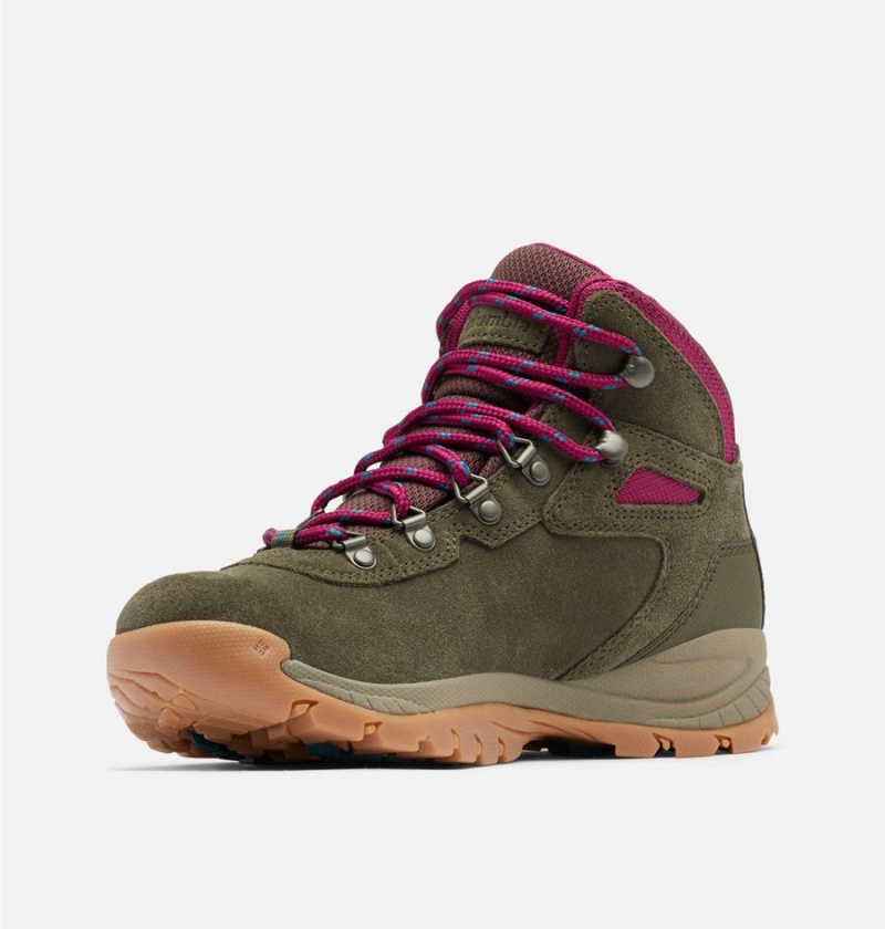 Olive Columbia Newton Ridge Plus Waterproof Amped Boot Women's Hiking Shoes | 51730JDXT