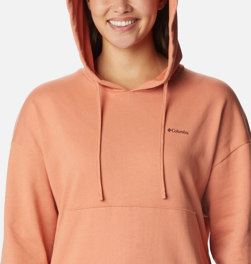 Orange Columbia Break It Down Women's Hoodie | 79210FCAU