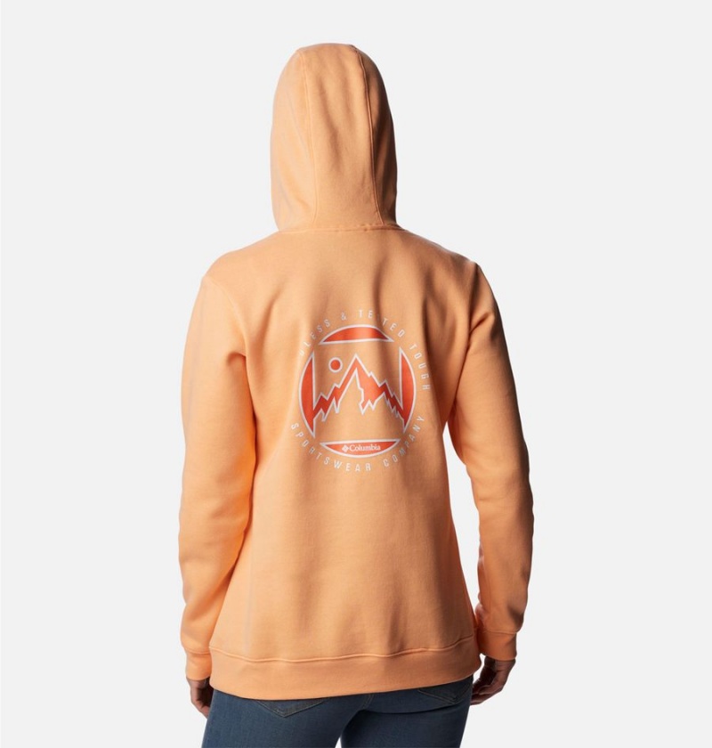 Orange Columbia Logo II Women's Hoodie | 41659XKBU