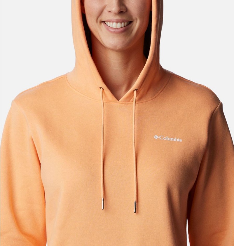 Orange Columbia Logo II Women's Hoodie | 41659XKBU