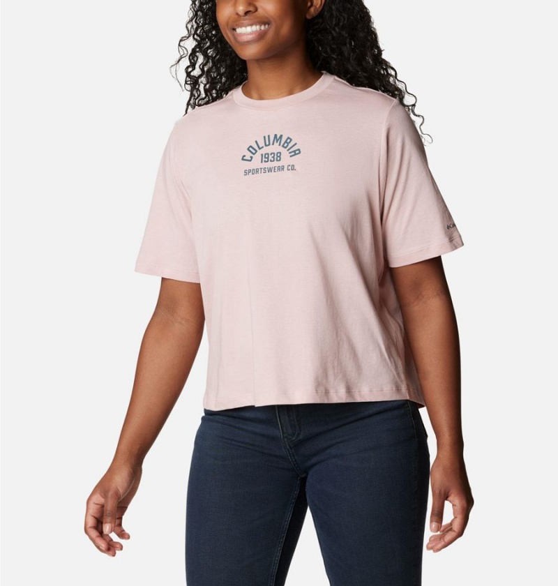 Pink Columbia North Cascades Relaxed Women's T-Shirt | 82713PJYI