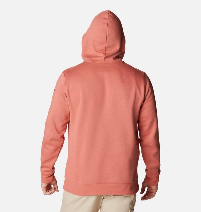 Pink Columbia Trek Men's Hoodie | 13862LBJC