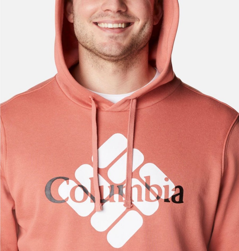 Pink Columbia Trek Men's Hoodie | 13862LBJC