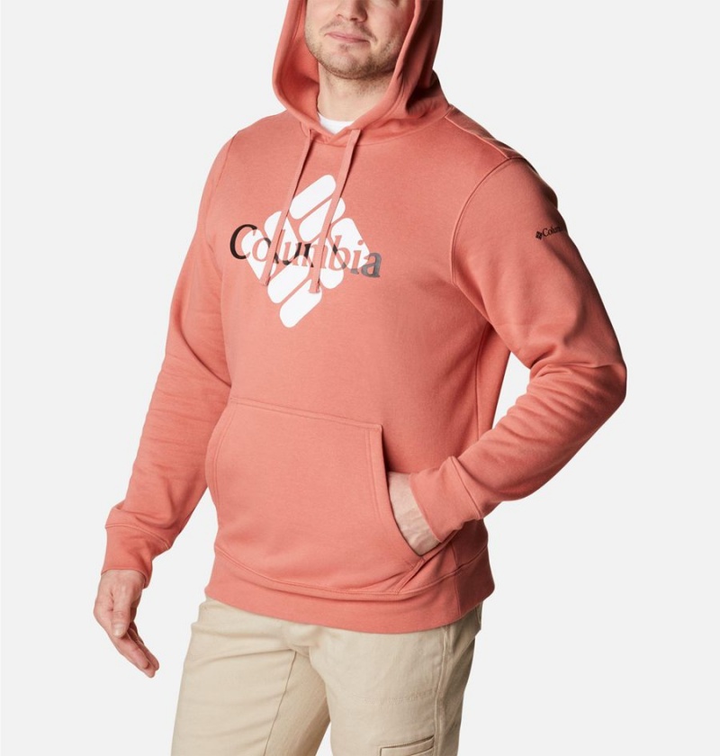 Pink Columbia Trek Men's Hoodie | 13862LBJC