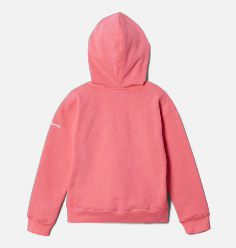 Pink Columbia Trek Novelty Kids' Hoodie | 41973VPAX