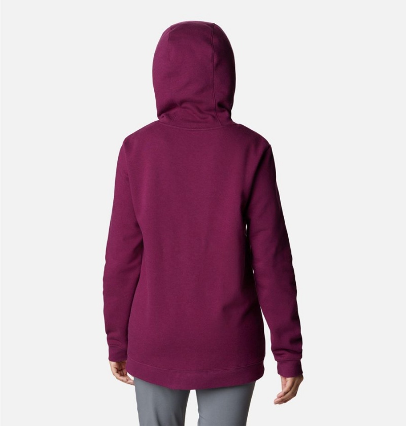 Purple Columbia Logo II Women's Hoodie | 42697QVZU