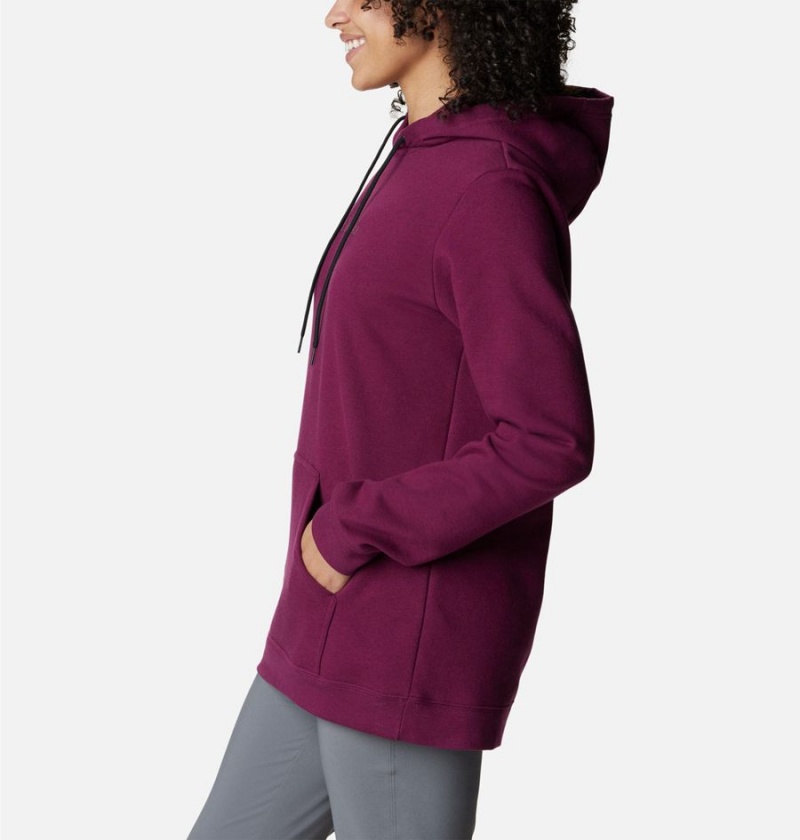 Purple Columbia Logo II Women's Hoodie | 42697QVZU