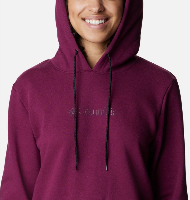 Purple Columbia Logo II Women's Hoodie | 42697QVZU