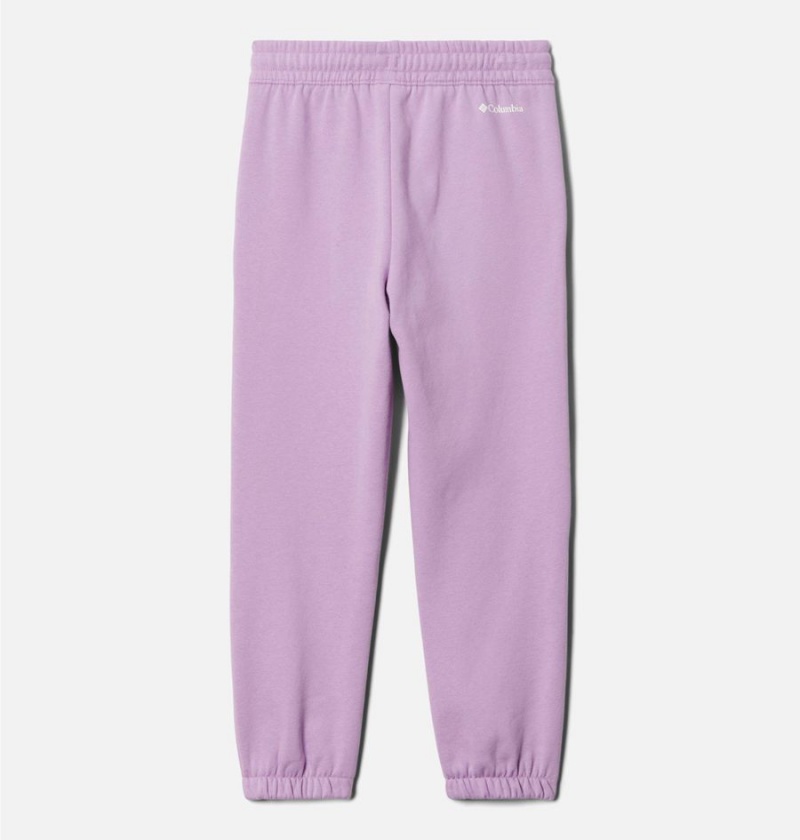 Purple Columbia Trek II Joggers Kids' Pants | 74513SREA