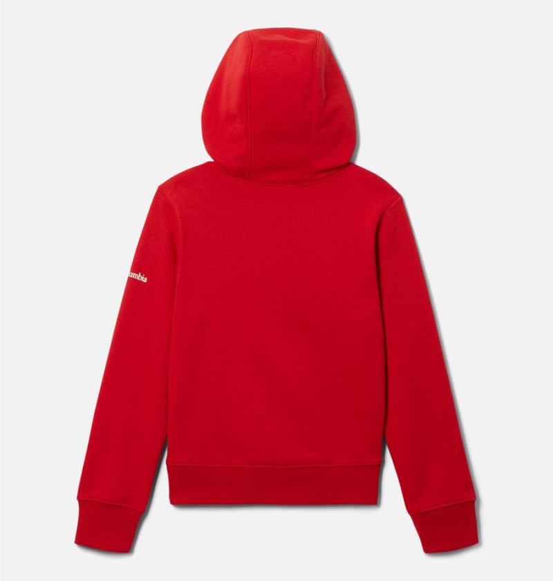 Red Columbia Dragonfly Ridge Kids' Hoodie | 16730FLSH