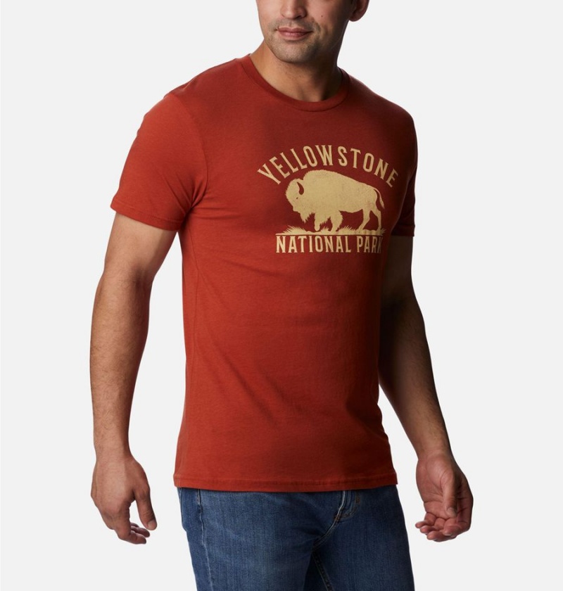 Red Columbia NP Yellowstone Graphic Men's T-Shirt | 81593XCSL