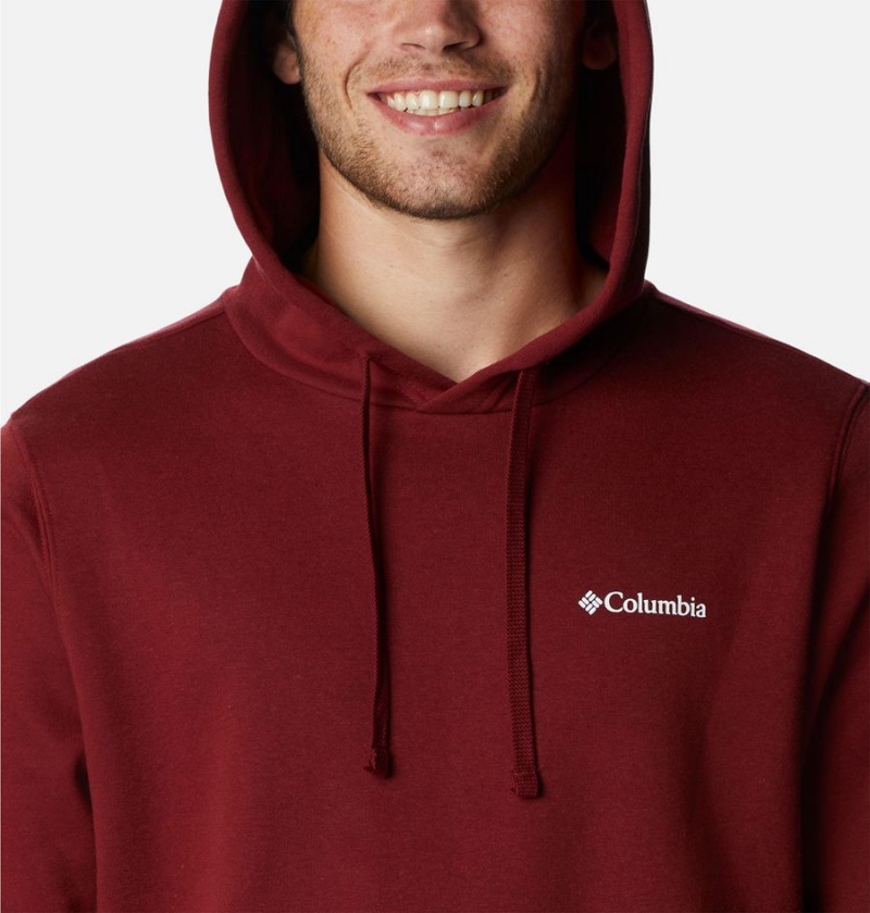 Red Columbia Trek Men's Hoodie | 09328JLFE