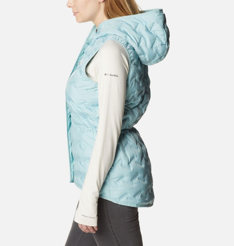 Turquoise Columbia Delta Ridge Hooded Women's Vest | 36504RHBJ