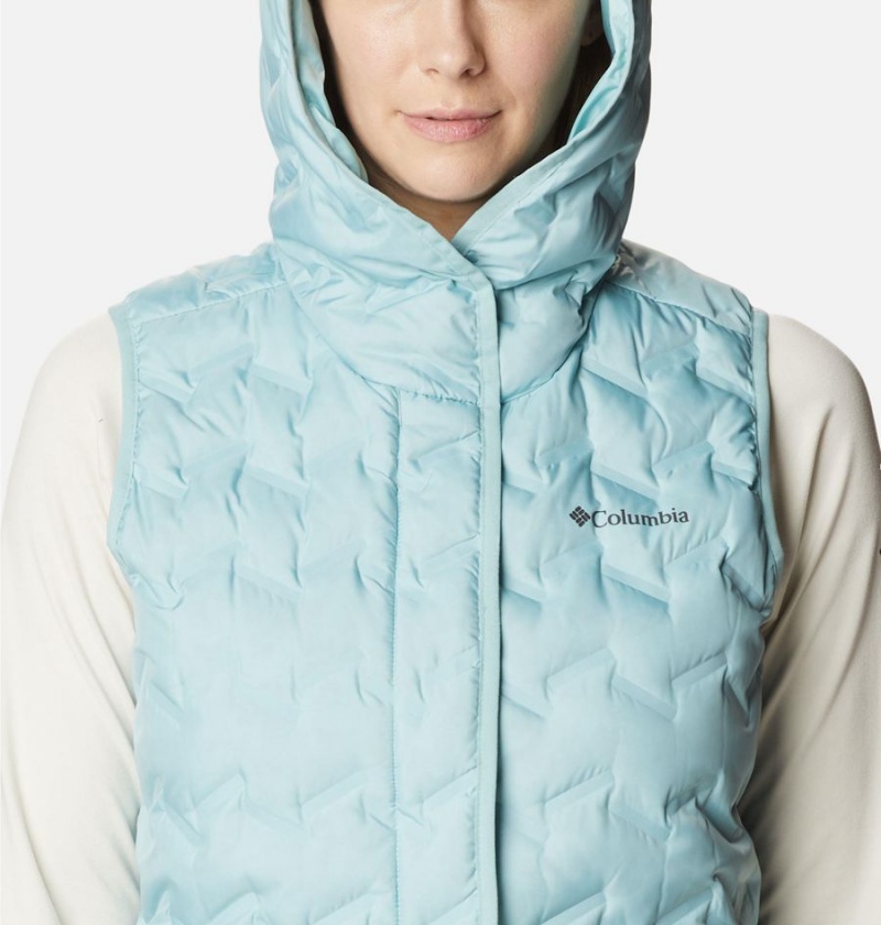 Turquoise Columbia Delta Ridge Hooded Women's Vest | 36504RHBJ