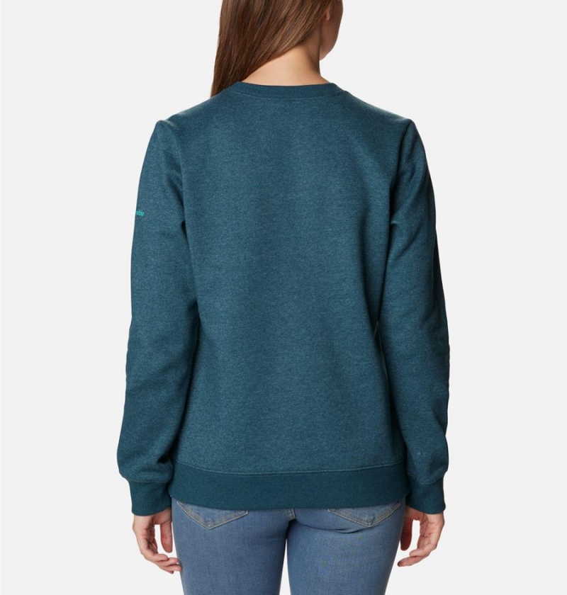 Turquoise Columbia Hart Mountain II Graphic Crew Women's Pullover | 34650ZEKN